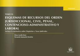 Esquemas de recursos del orden jurisdiccional, civil, penal, contencioso-administrativo y laboral