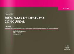 Esquemas de Derecho concursal