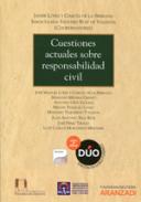 Cuestiones actuales sobre responsabilidad civil