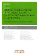 Libertad sindical y otros derechos de acci�n colectiva de trabajadores y empresarios: