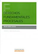 Derechos fundamentales procesales