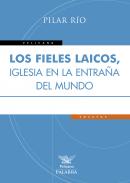 Los fieles laicos, Iglesia en la entra�a del mundo