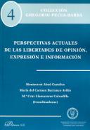 Perspectivas actuales de las libertades de opini�n, expresi�n e informaci�n