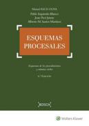 Esquemas procesales