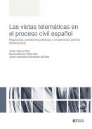 Las vistas telem�ticas en el proceso civil espa�ol