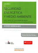 Seguridad energ�tica y medio ambiente
