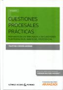Cuestiones procesales pr�cticas