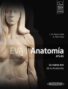 EVA Anatom�a