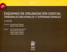 Esquemas de organizaci�n judicial