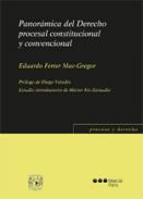 Panor�mica del Derecho Procesal Constitucional y Convencional