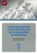 La prueba pericial en la delimitaci�n de la propiedad inmobiliaria