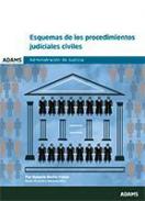 Esquemas de los procedimientos judiciales civiles