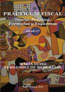 Practicum fiscal