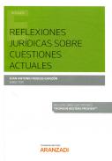 Reflexiones jur�dicas sobre cuestiones actuales