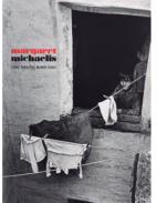 Cinc dies pel barri Xino