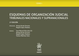 Esquemas de organizaci�n judicial