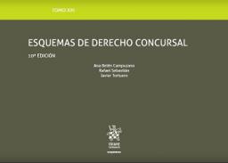 Esquemas de Derecho concursal