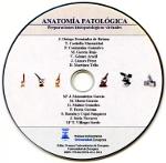 Anatom�a patol�gica