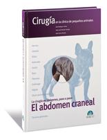 El abdomen craneal