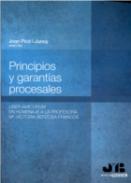 Principios y garant�as procesales