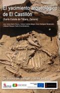 El yacimiento arqueol�gico de El Castill�n (Santa Eulalia de T�bara, Zamora)