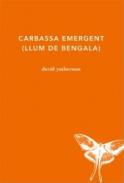 Carbassa emergent
