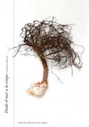 Desde el mar a la estepa