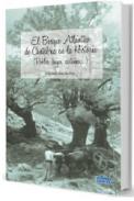 El bosque atl�ntico de Cantabria en la historia