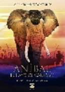 An�bal, el rayo de cartago