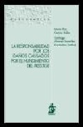 La responsabilidad por los da�os causados por el hundimiento del Prestige