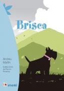 Brisca