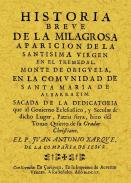 Historia breve de la milagrosa aparici�n de la Virgen en El Tremedal, monte de Origuela, en la comunidad de Santa 

Mar�a de Albarraz�n