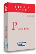 El proceso penal