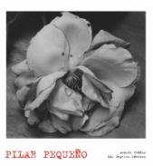 Pilar Peque�o
