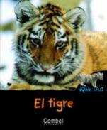 El tigre