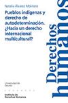 Pueblos ind�genas y derecho de autodeterminaci�n