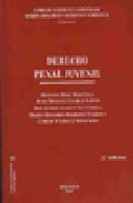 Derecho penal juvenil