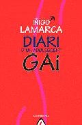 Diari d'un adolescent gai