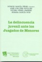La delincuencia juvenil ante los juzgados de menores