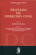 Tratado de Derecho civil, 6.1