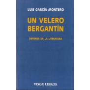 Un velero bergant�n