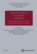 Tratado de derecho de la familia, 6