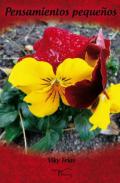 Pensamientos peque�os