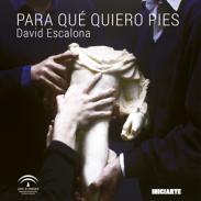 Para qu� quiero pies