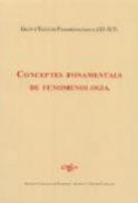 Conceptes fonamentals de fenomenologia