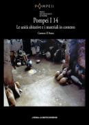 Pompei I 14