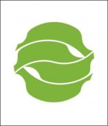 Fernando Lemos Designer