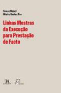Linhas Mestras da Execu��o para Presta��o de Facto