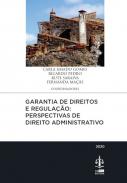 Garantia de Direitos e Regula��o