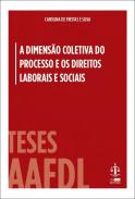 A Dimens�o Coletiva do Processo e os Direitos Laborais e Sociais